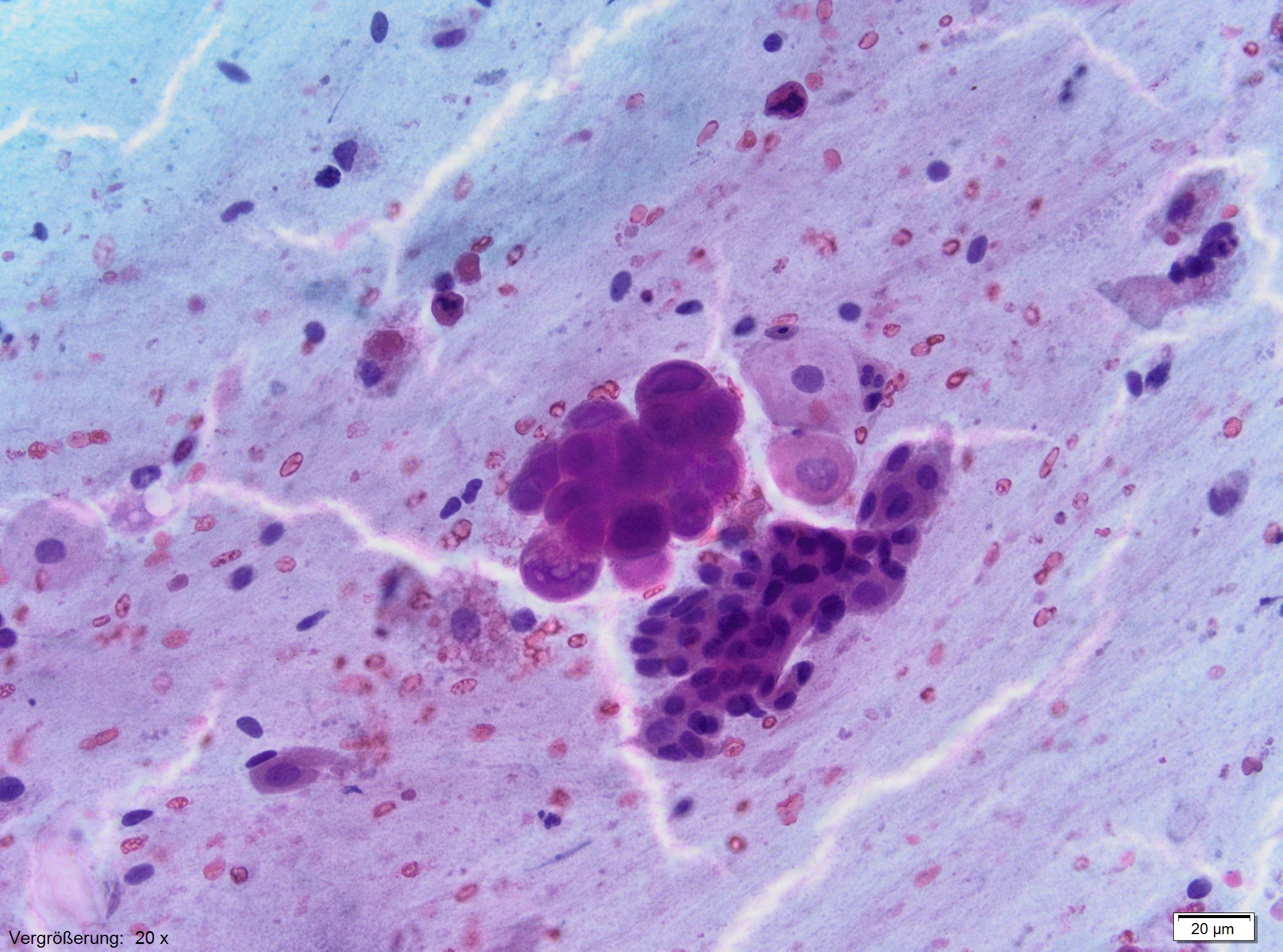 Pathologie Tübingen Dres. Geppert & Kollegen